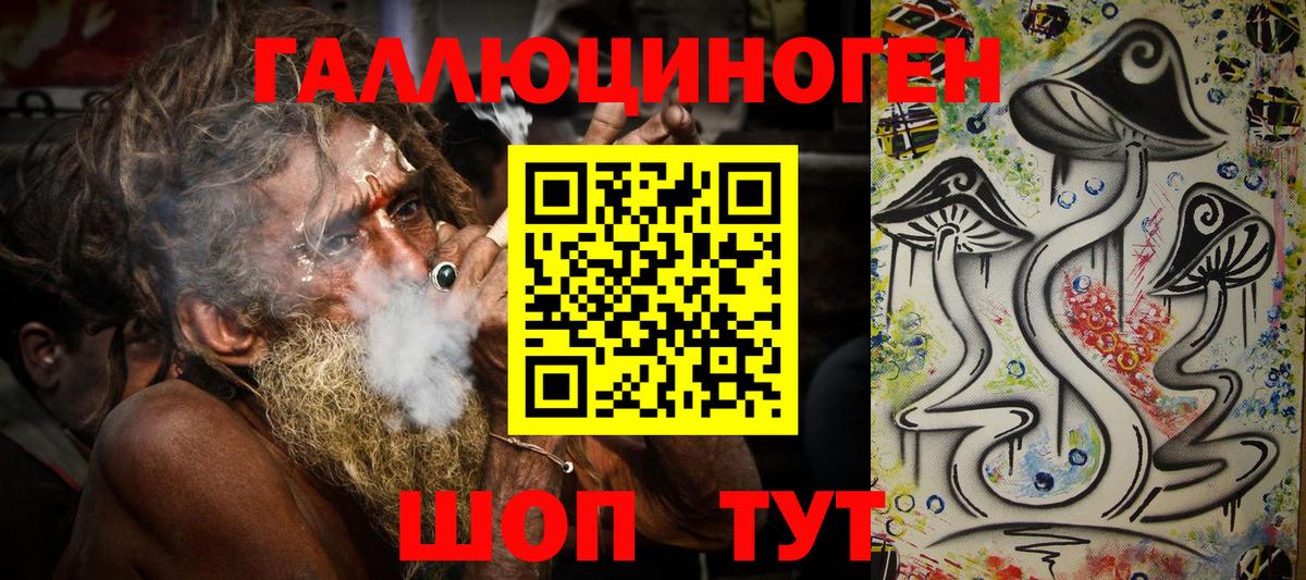 закладка  Вход с VPN  Волгоград  Галлюциногенные грибы Psilocybine cubensis 